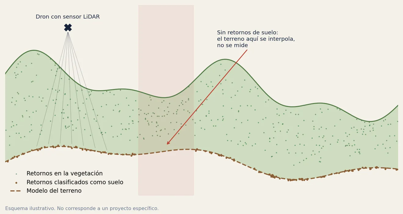 Esquema del corte de una nube LiDAR bajo vegetación: retornos en el follaje, retornos de suelo y zona interpolada